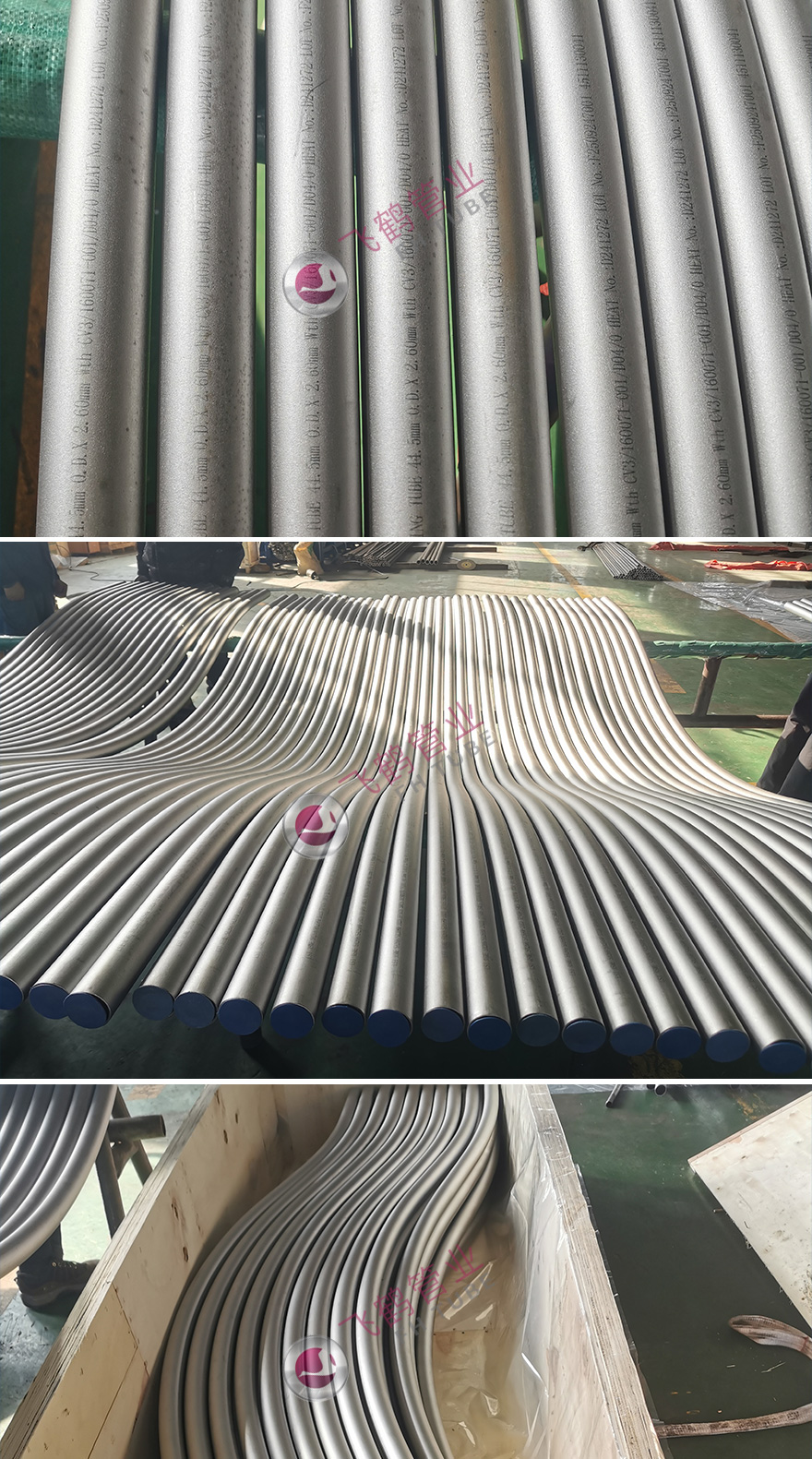 1764917483820953.jpg 飞鹤新闻图.jpg